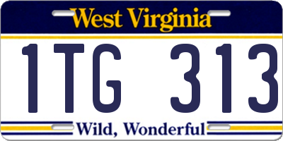 WV license plate 1TG313