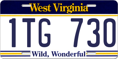 WV license plate 1TG730
