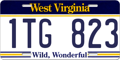 WV license plate 1TG823