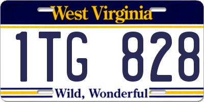 WV license plate 1TG828