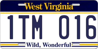 WV license plate 1TM016