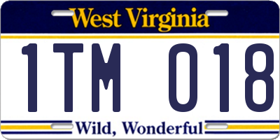 WV license plate 1TM018