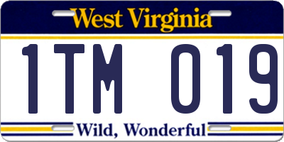 WV license plate 1TM019
