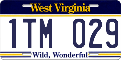 WV license plate 1TM029