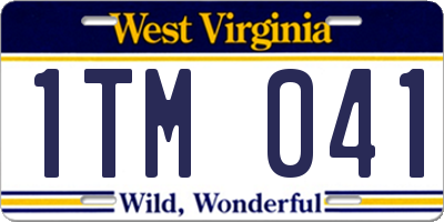 WV license plate 1TM041