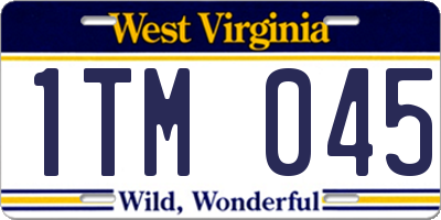WV license plate 1TM045