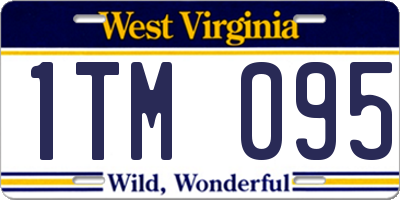 WV license plate 1TM095