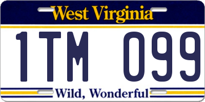 WV license plate 1TM099