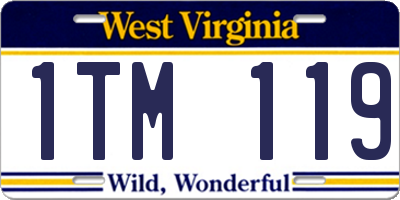 WV license plate 1TM119