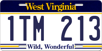 WV license plate 1TM213