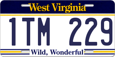 WV license plate 1TM229