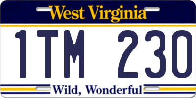 WV license plate 1TM230