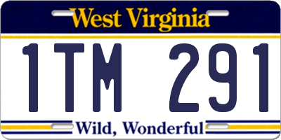 WV license plate 1TM291