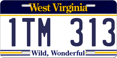 WV license plate 1TM313
