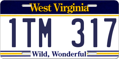 WV license plate 1TM317