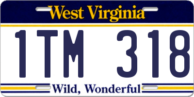 WV license plate 1TM318