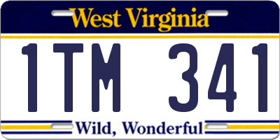 WV license plate 1TM341