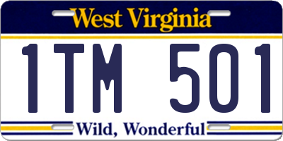 WV license plate 1TM501
