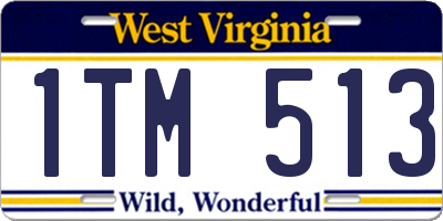 WV license plate 1TM513