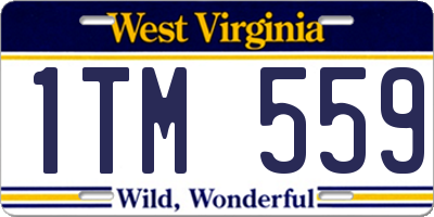 WV license plate 1TM559