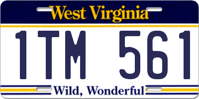 WV license plate 1TM561