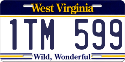 WV license plate 1TM599