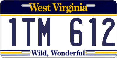 WV license plate 1TM612