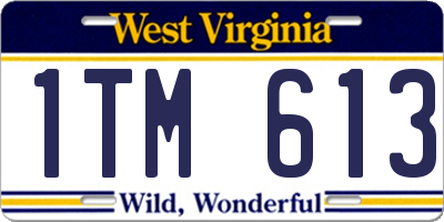 WV license plate 1TM613
