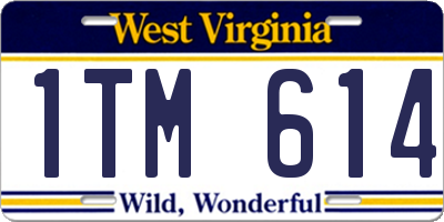 WV license plate 1TM614