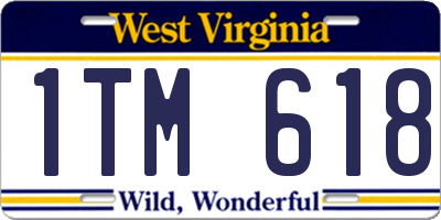 WV license plate 1TM618