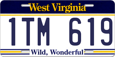 WV license plate 1TM619