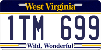 WV license plate 1TM699
