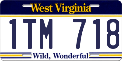 WV license plate 1TM718