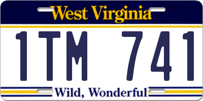 WV license plate 1TM741