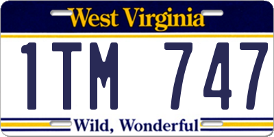 WV license plate 1TM747