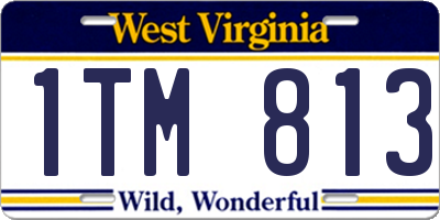 WV license plate 1TM813
