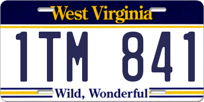 WV license plate 1TM841