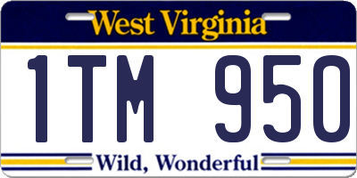 WV license plate 1TM950