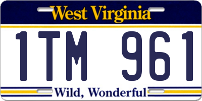 WV license plate 1TM961