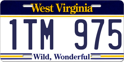 WV license plate 1TM975