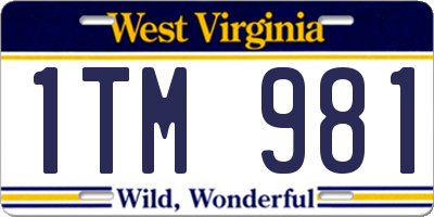 WV license plate 1TM981