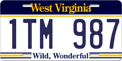 WV license plate 1TM987