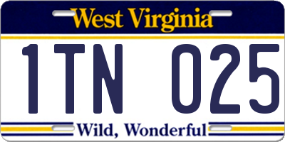 WV license plate 1TN025