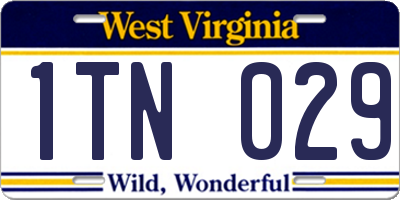 WV license plate 1TN029