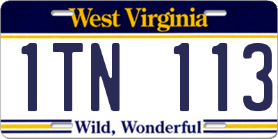 WV license plate 1TN113