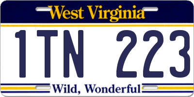WV license plate 1TN223
