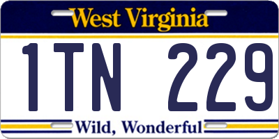 WV license plate 1TN229