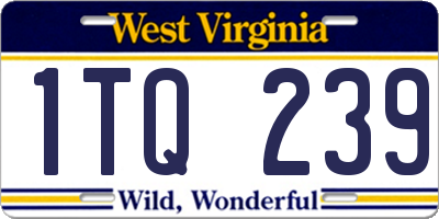 WV license plate 1TQ239