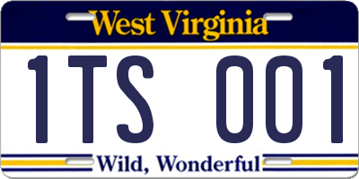 WV license plate 1TS001