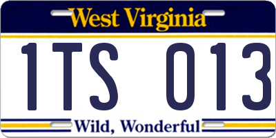WV license plate 1TS013
